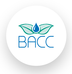 BACC